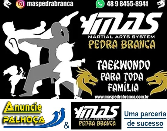 Imagem principal da fachada da empresa MAS MARTIAL ARTS SYSTEM